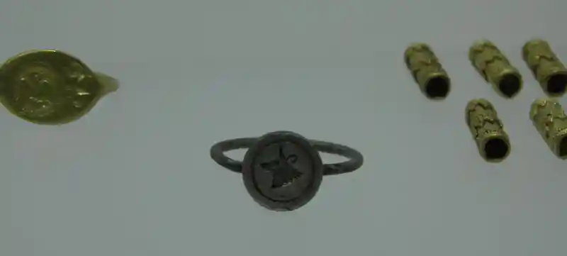 A ring with a horned animal print A ring with a horned animal print